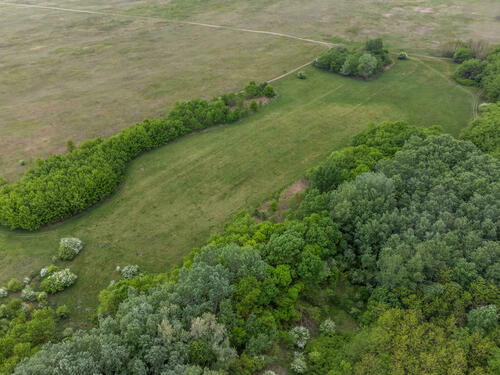 Picnic site